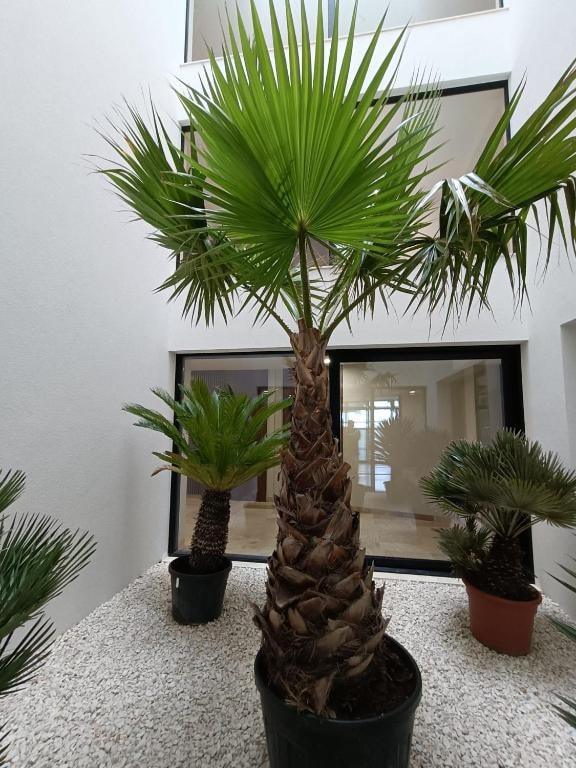 Apartamenty Mielno 59