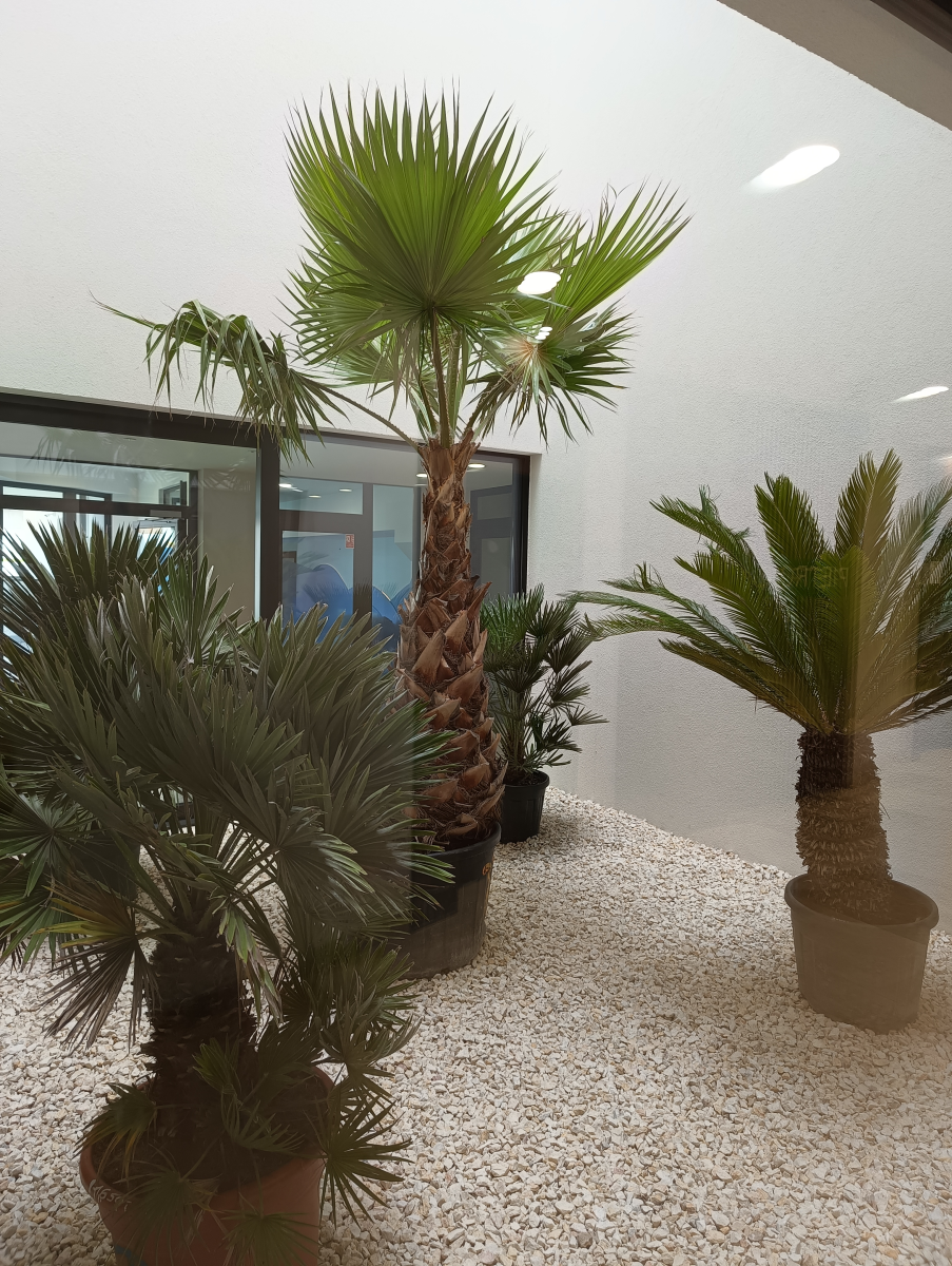 Baltic Wave Resort B by Sunny